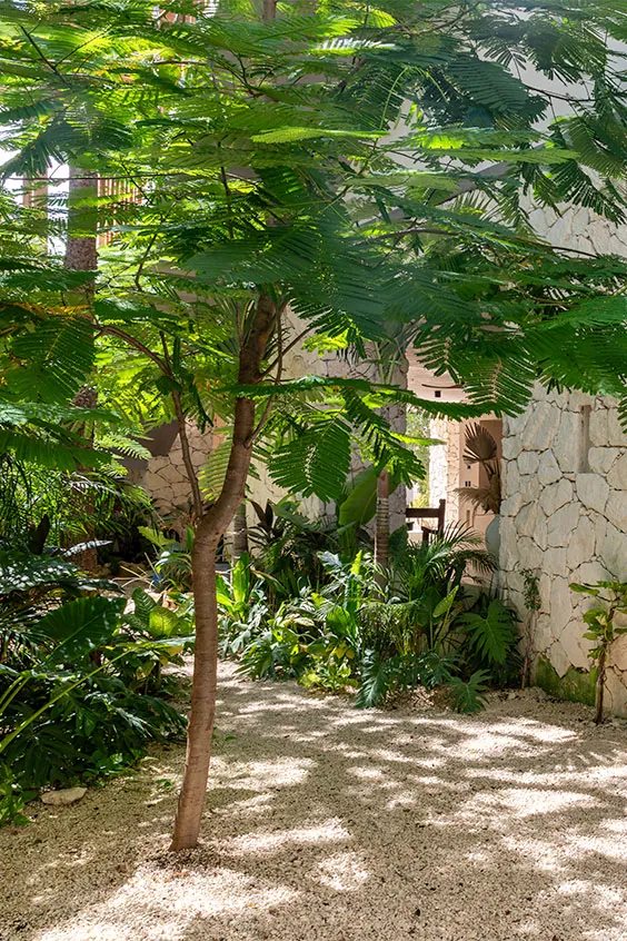 Garden sanctuary