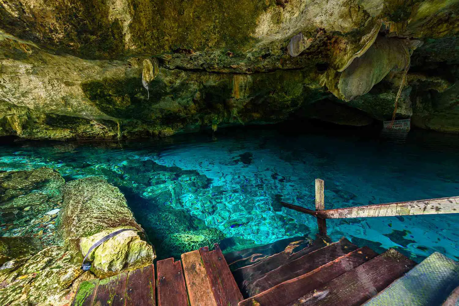Cenote diving